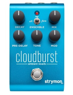 Strymon Cloudburst