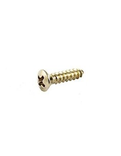 Allparts Nickel Pickguard Screw