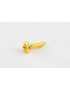 Allparts Gold Fender Pickguard Screw