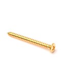 Allparts Gold Neckplate Screw