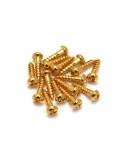 Allparts Gold Long Machine Head Screws