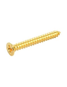 Allparts Gold Humbucking Ring Screws