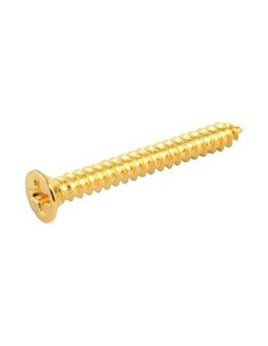 Allparts Gold Humbucking Ring Screws