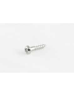 Allparts Chrome Small Tuner Screws