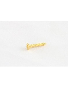 Allparts Gold Short Humbucking Ring Screws