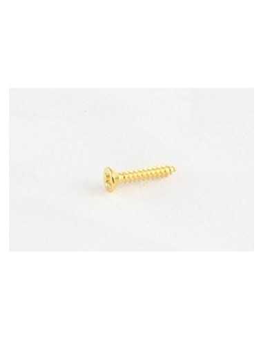 Allparts Gold Short Humbucking Ring Screws