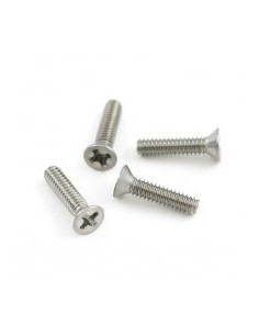 Flat Head Screw For Enclosure