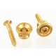 Allparts Gold Strap Buttons