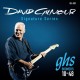GHS David Gilmour Signature Guitar Boomers .010-.048