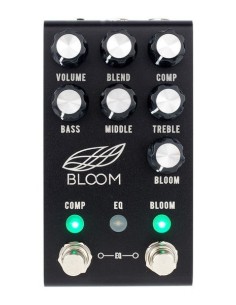 Jackson Audio Bloom V2 Compressor Black