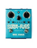 Way Huge Supa-Puss Analog Delay