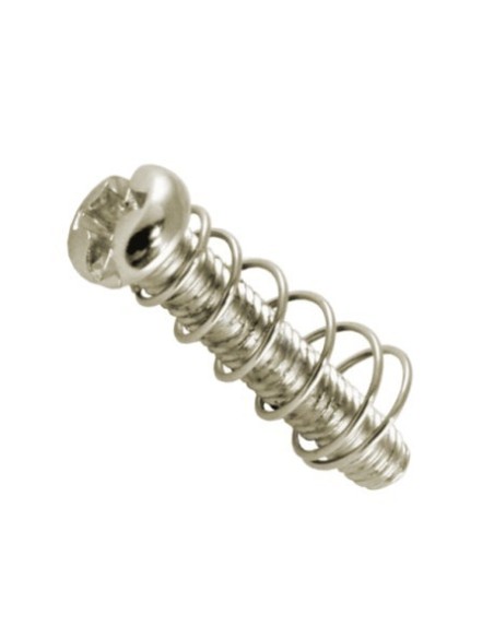 Bridge screws and springs